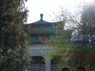 P1014428